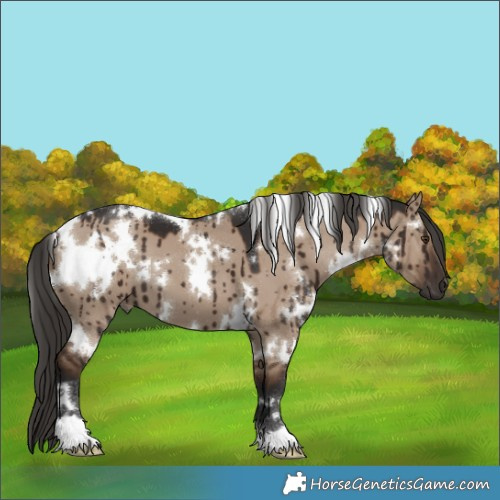 Horse Color:White Spotted Liver Red Dun Brindle 
