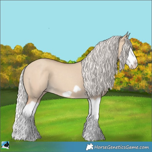 Horse Color:Silver Classic Champagne Dun Splash Frame 