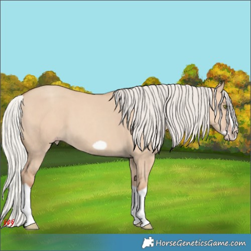 Horse Color:Silver Classic Champagne Dun Splash Frame 