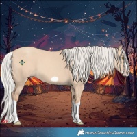 Horse Color:Silver Classic Champagne Dun Splash Frame 