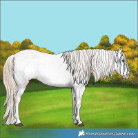 Horse Color:Chestnut Tobiano Near Fewspot 