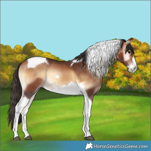 Horse Color:Bay Onyx Tobiano Frame Rabicano 