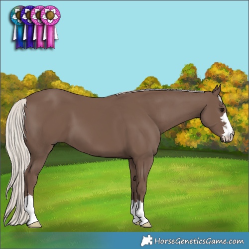 Horse Color:Silver Black 