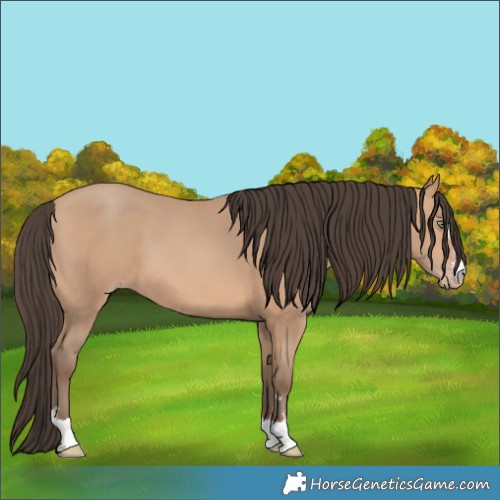 Horse Color:Amber Champagne 