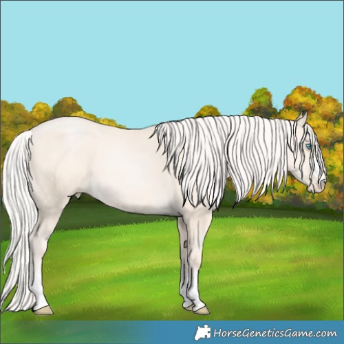Horse Color:Silver Amber Cream Champagne Pearl 