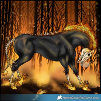 Horse Color:Void Black