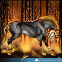 Horse Color:Powder White Gray Void Black