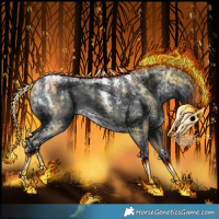 Horse Color:Powder White Black Ice 