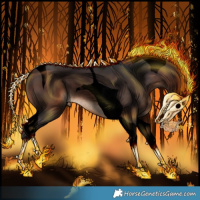 Horse Color:Void Brown Tobiano Rabicano 