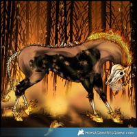 Horse Color:Void Chestnut Splash Frame 
