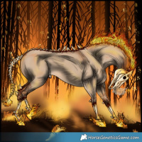 Horse Color:Void Red Dun