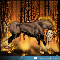 Horse Color:Void Sable Champagne Splash Rabicano