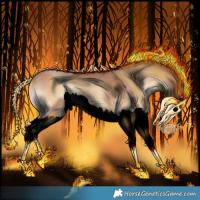 Horse Color:Void Classic Champagne Onyx Splash 