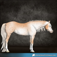 Horse Color:Gray Cremello Splash  and Gray Cremello Splash 