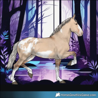 Horse Color:Silver Bay Dun Sabino Tobiano Frame Appaloosa Rabicano 