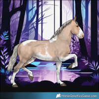 Horse Color:Silver Brown Dun Sabino Tobiano Frame Varnish Rabicano