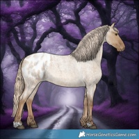 Horse Color:Chocolate Palomino Roan Dun Appaloosa 