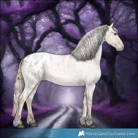 Horse Color:Chocolate Palomino Roan Dun Appaloosa