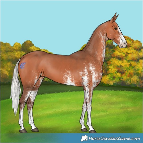 Horse Color:White Spotted Silver Bay Mushroom 