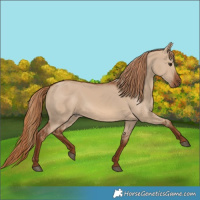 Horse Color:Red Dun 