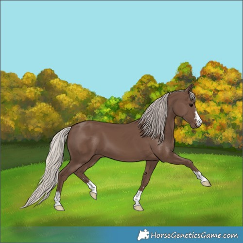 Horse Color:Silver Black 