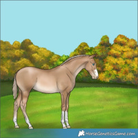 Horse Color:Chocolate Palomino Pearl 