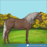 Horse Color:Silver Black