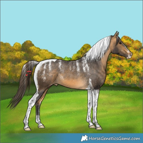 Horse Color:Powder White Buckskin Tobiano Varnish 