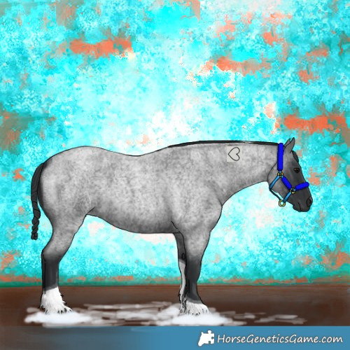 Horse Color:Blue Roan Tobiano 