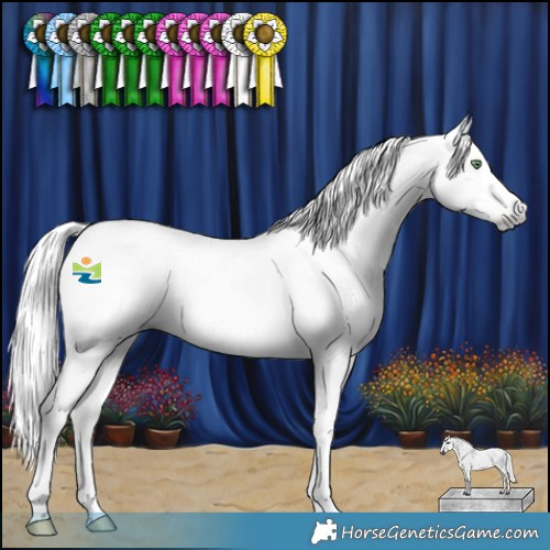 Horse Color:Gray Amber Cream Champagne Splash 