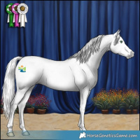 Horse Color:Gray Amber Cream Champagne Splash 