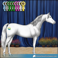 Horse Color:Gray Amber Cream Champagne Splash