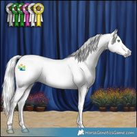 Horse Color:Gray Amber Cream Champagne Splash 