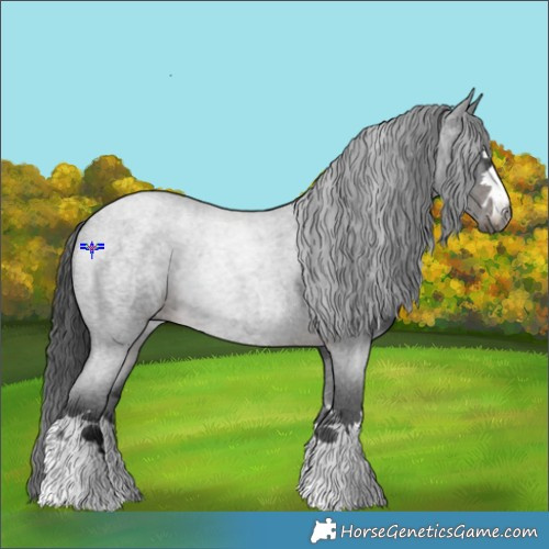 Horse Color:Gray Brown Roan Varnish 