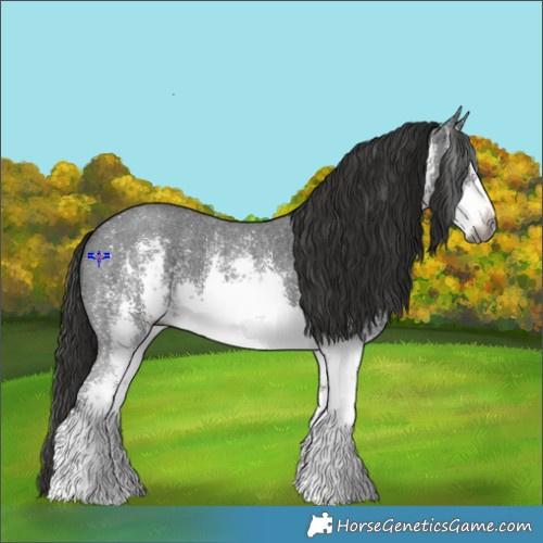 Horse Color:Gray White Spotted Liver Chestnut Sabino 