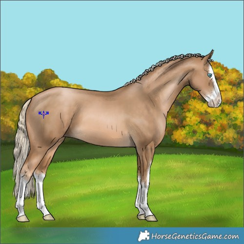 Horse Color:White Spotted Chocolate Palomino Pearl Splash 