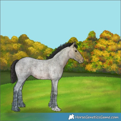 Horse Color:Brown Ice Roan 