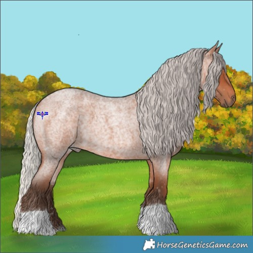 Horse Color:Silver Brown Roan 