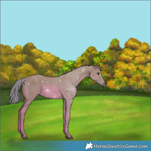 Horse Color:Watercolor Chestnut 