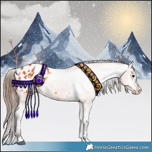 Horse Color:Bay Tobiano Blanket