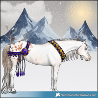 Horse Color:Bay Tobiano Blanket 