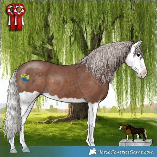 Horse Color:Silver Black Splash 