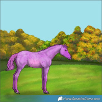 Horse Color:Watercolor Red Roan 