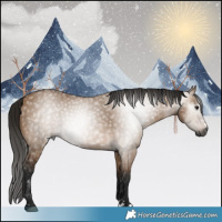 Horse Color:Gray Bay Dun