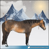 Horse Color:Buckskin 