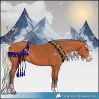 Horse Color:Silver Bay Splash