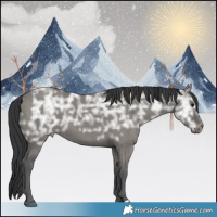 Horse Color:Grullo Ice