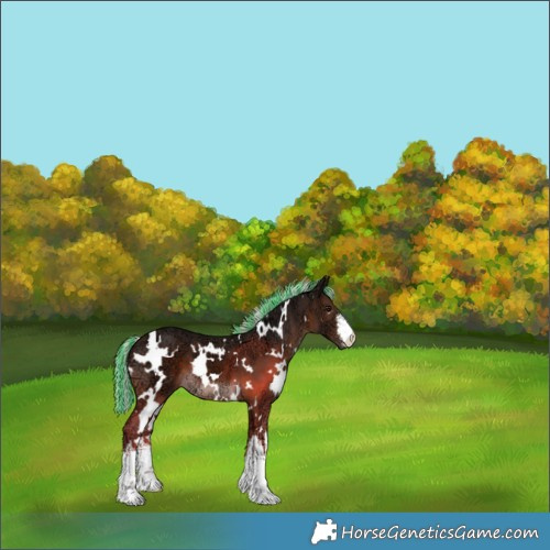 Horse Color:Painted White Spotted Silver Brown Ice 