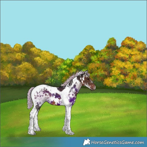 Horse Color:Painted White Spotted Silver Brown Ice Tobiano 