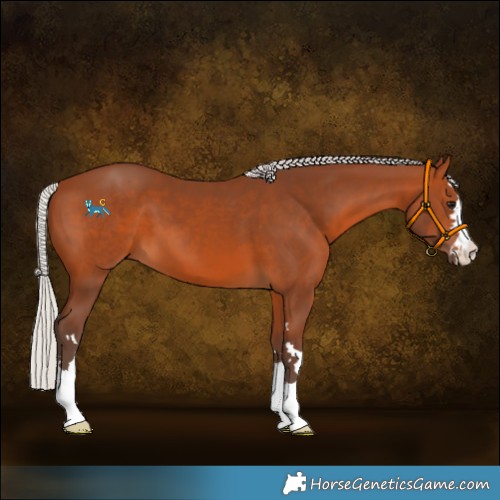 Horse Color:Silver Brown 